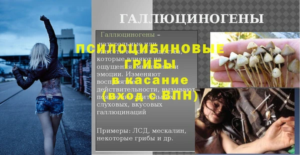 индика Беломорск