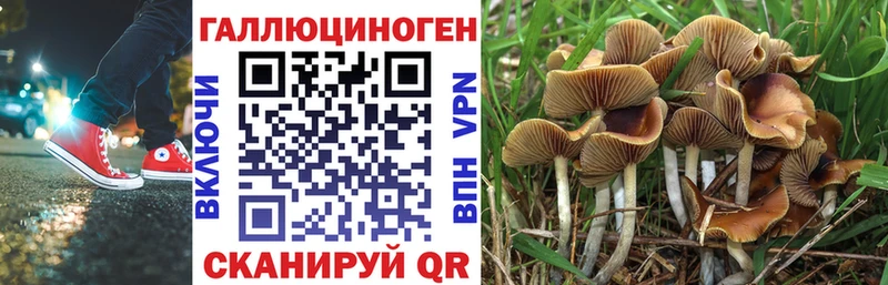 наркотики  Светогорск  нарко площадка как зайти  Псилоцибиновые грибы MAGIC MUSHROOMS 