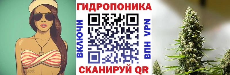 где можно купить   Светогорск  hydra зеркало  Бошки марихуана THC 21% 